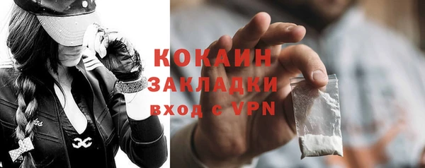 прущие грибы Вязники
