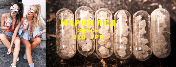 прущие грибы Вязники