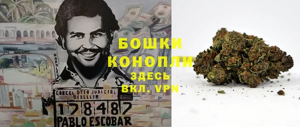 прущие грибы Вязники