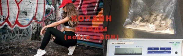 прущие грибы Вязники