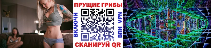 OMG зеркало Заволжск Галлюциногенные грибы Cubensis
