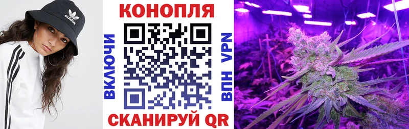 дарк нет клад  Заволжск  Шишки марихуана VHQ 